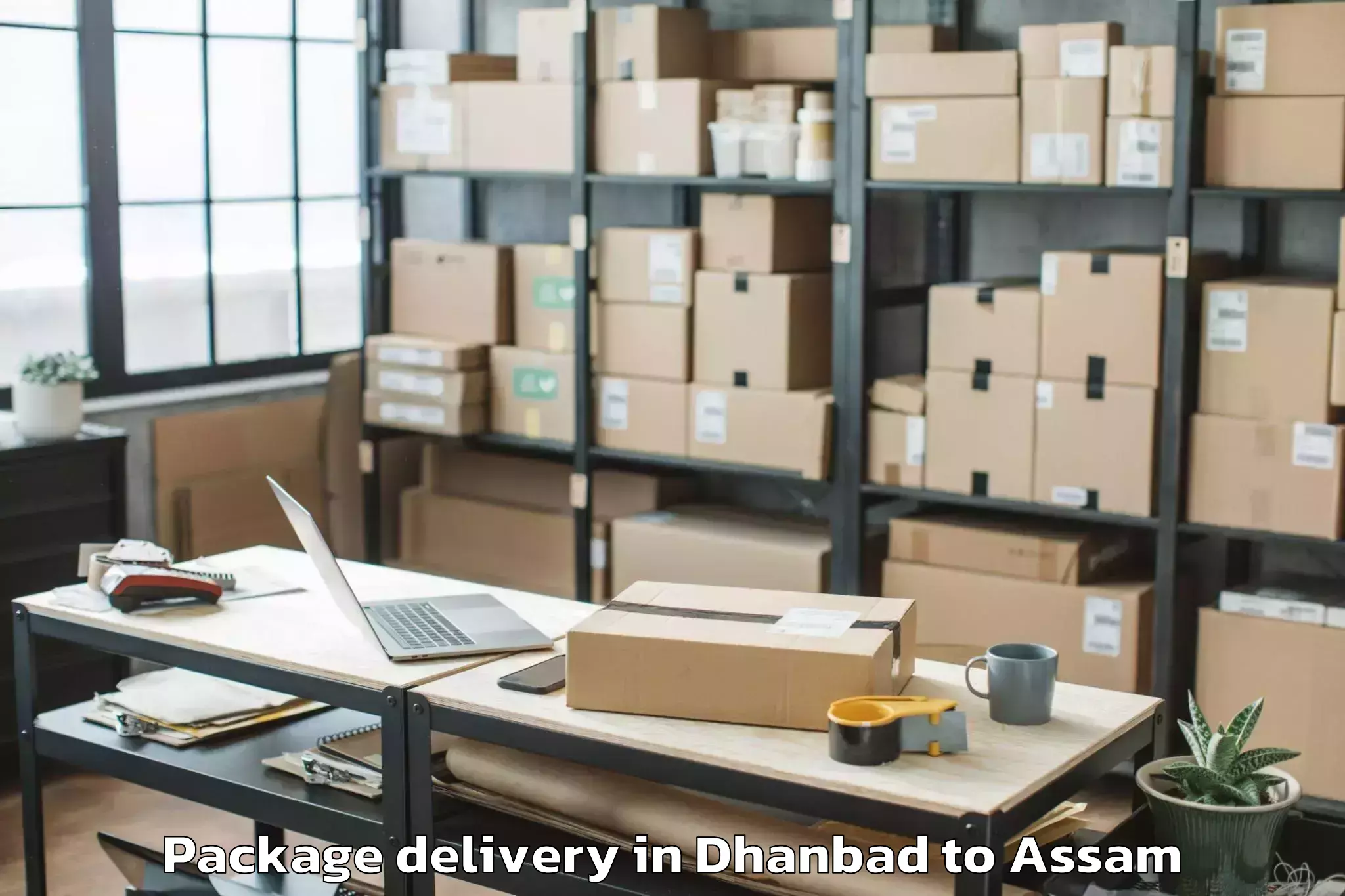 Quality Dhanbad to Mikirbheta Package Delivery